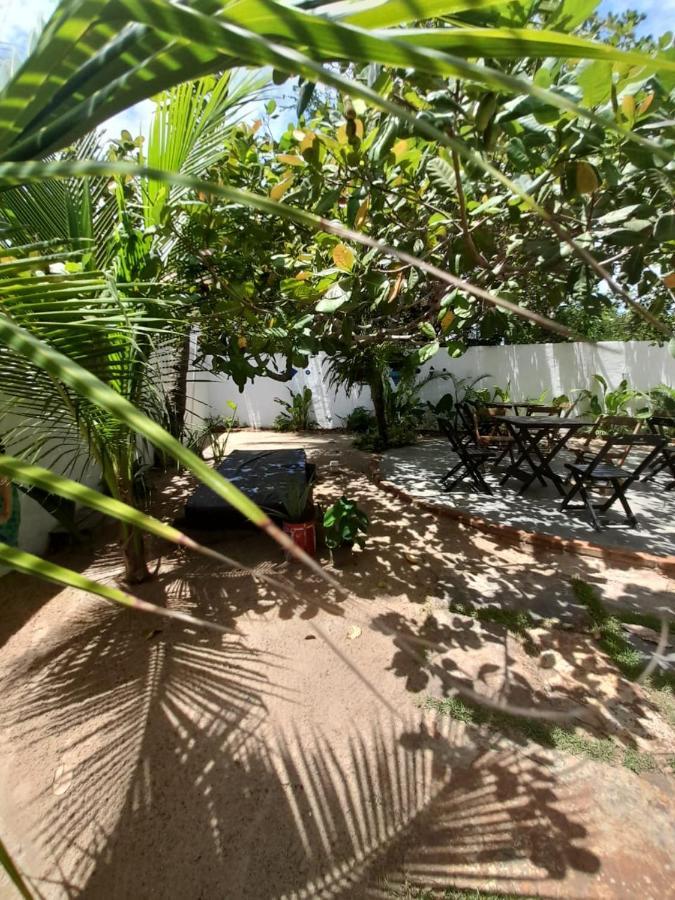 ホテル Casa Pipa Bg バーハ・グランデ エクステリア 写真