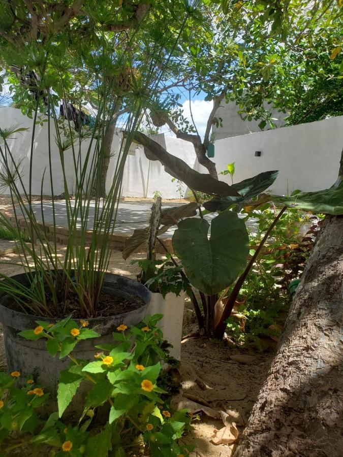 ホテル Casa Pipa Bg バーハ・グランデ エクステリア 写真
